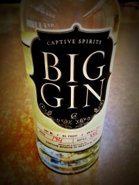 Captive Spirits Big Gin - Review