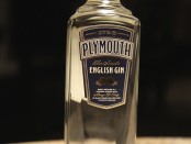 Plymouth Gin Review